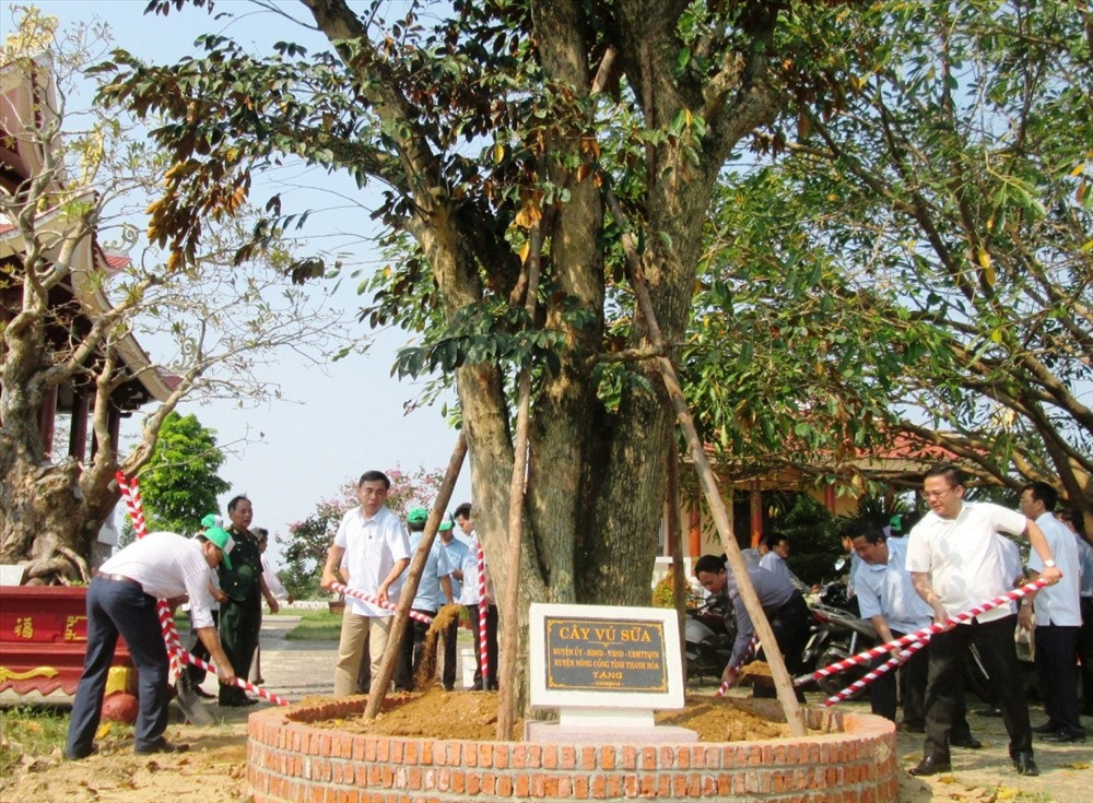 Lãnh đạo huyện Nông Cống trồng cây lưu niệm tại Đền liệt sĩ huyện Duy Xuyên. Ảnh: HOÀI NHI