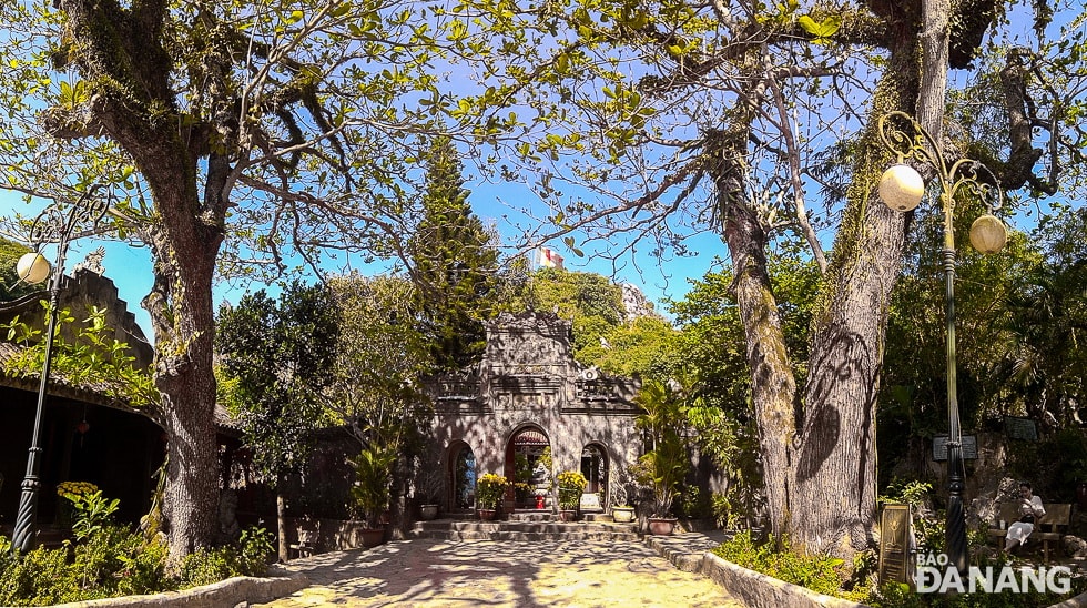 Trước sân chùa Tam Thai có 2 cây di sản là 2 cây bàng âm - dương được trồng đối xứng ở 2 bên cổng chùa.