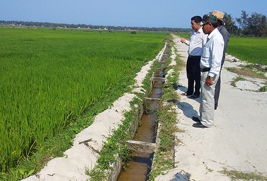 Xã Bình Sa đã xây dựng thêm nhiều tuyến kênh bê tông để sử dụng nước tiết kiệm từ Trạm bơm Tứ Sơn. Ảnh: BIÊN TÂN.