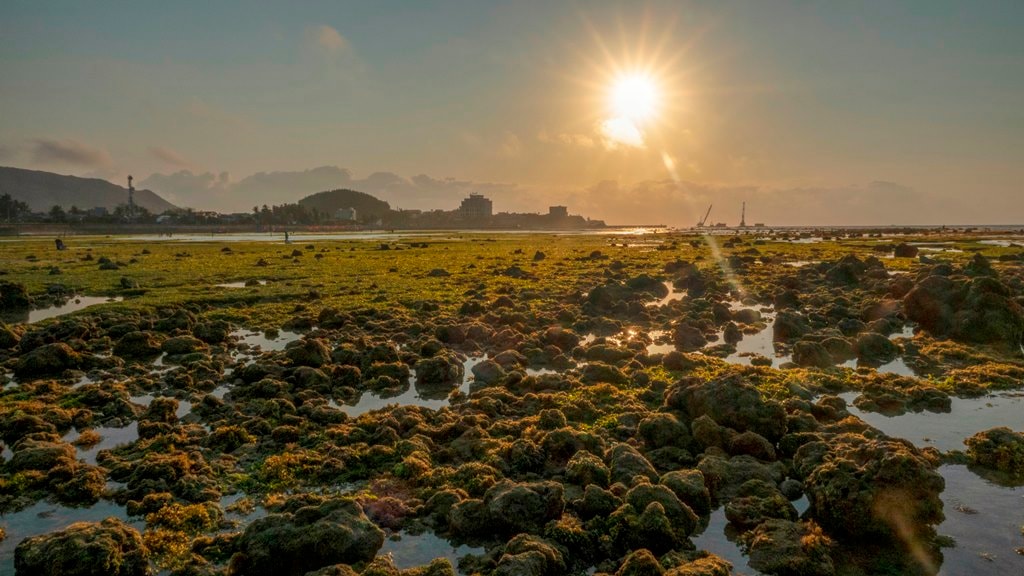 Trong ánh bình minh, những bãi đá sẽ lộ lên, khoe mình trong nắng mới, vàng ươm. Đây là khu vực gành biển nằm trong Khu bảo tồn biển Lý Sơn đang trong quá trình hoàn thiện. Ảnh: Xuân Thọ