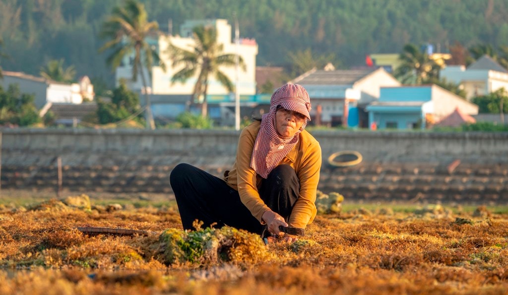 Còn người phụ nữ này đang 