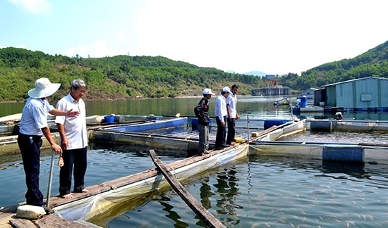 Ngành nông nghiệp tỉnh và huyện Bắc Trà My làm việc với các hộ dân để gỡ vướng cơ chế hỗ trợ nuôi cá trong lồng bè. Ảnh: QUANG VIỆT