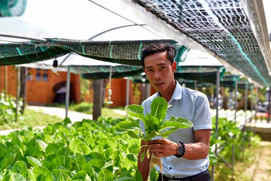 Anh Đặng Trần Gian Nhật Linh với vườn rau thủy canh của mình