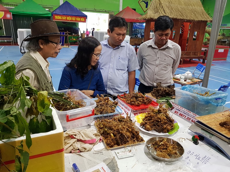 Du khách tham quan phiên chợ sâm Ngọc Linh. Ảnh: V.L