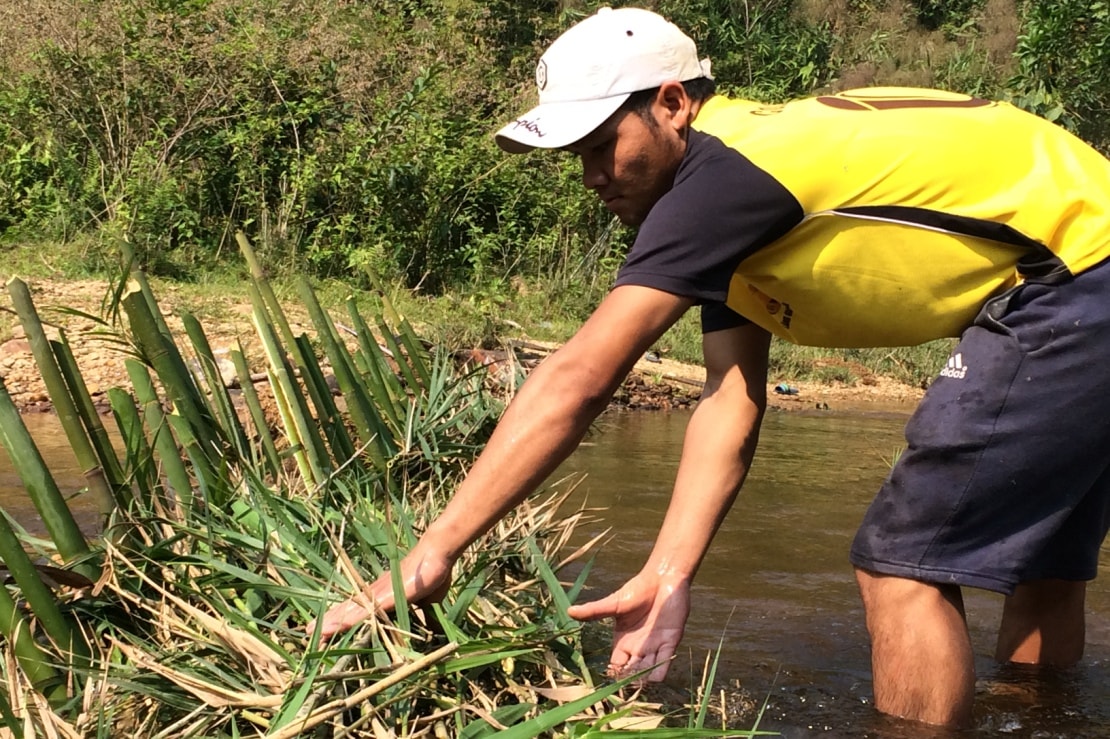 Muốn chặn dòng chảy xiết của nước, người Cơ Tu thường dùng thân cây gỗ to chặn ngang, lấy tre cắm xuống dòng và dùng lá cây rừng cùng với đất đắp kín theo thân gỗ. Trong hình, Cơlâu Trao, một thanh niên tham gia chặt tre, lá cây rừng đắp kín thân gỗ không để nước thấm, chảy ra từ độ sâu của sông.