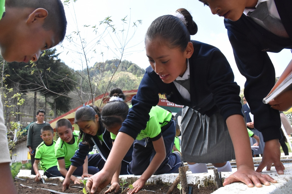 Các em học sinh Mexico trồng rau trong trường học. Ảnh: FAO
