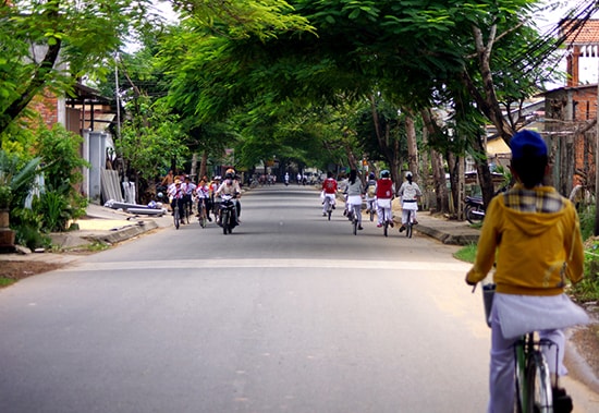 Đường về tháp Mỹ Sơn ngang qua chợ La Tháp (xã Duy Châu, Duy Xuyên) rợp bóng phượng vĩ. Ảnh: PHƯƠNG THẢO