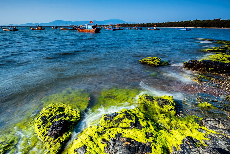 The green moss covered reef creates a beautiful picture like the fairyland.