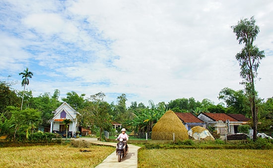 Làng quê Quảng Nam. (Ảnh minh họa). Ảnh: PHƯƠNG THẢO