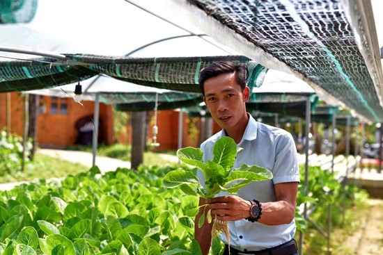 Nhat Linh and his hydroponic vegetable garden.