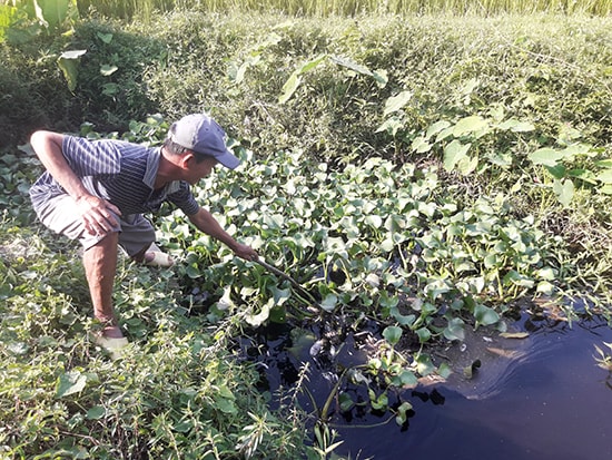 Người dân thôn 8, xã Tiên Mỹ bức xúc khi phát hiện con suối chảy qua địa bàn bị ô nhiễm nặng nề.Ảnh: T.P