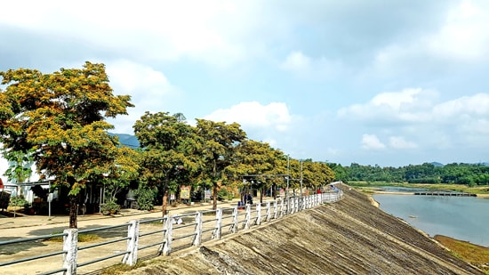 Bên bờ sông Tiên chảy ngược, hoa sưa đã nở rộ.