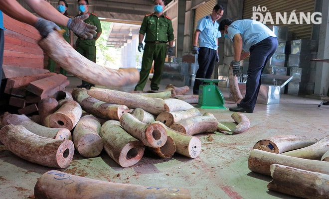 Các lực lượng chức nawg đang kiểm tra lô hàng