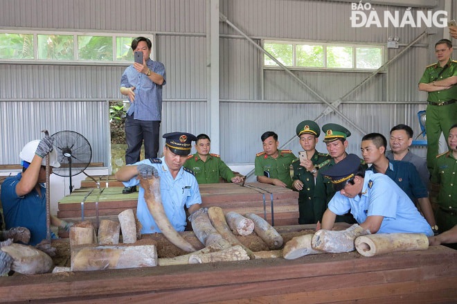 Hơ 9,1 tấn nghi ngà voi bị bắt giữ tại