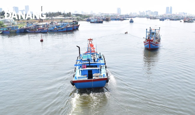 Âu thuyền và cảng cá Thọ Quang được đầu tư xây dựng hoàn thành vào năm 2004 tạo điều kiện phát triển đồng bộ dịch vụ hậu cần thủy sản. Ảnh: HOÀNG HIỆP