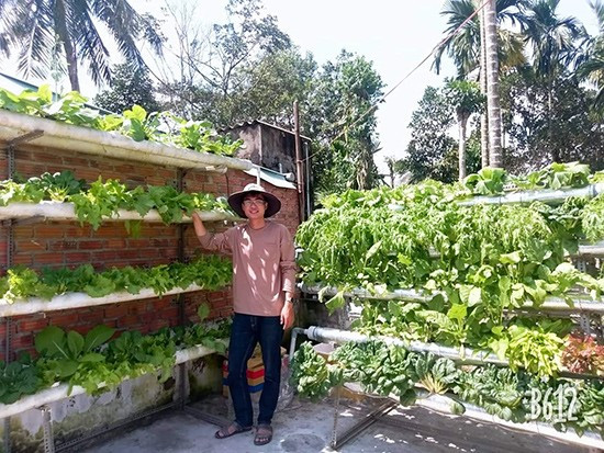 Ngo Tan Quyen and his model of smart vegetable garden in Quang Nam province