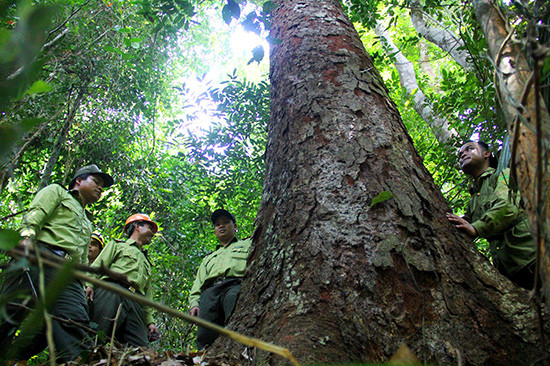 Nam Giang hướng tới việc xây dựng lực lượng bảo vệ rừng chuyên trách. Ảnh: ALĂNG NGƯỚC