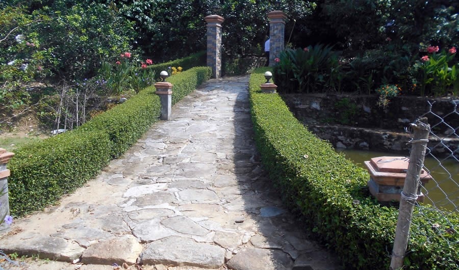 Green fences and a stone alley in Loc Yen ancient village 