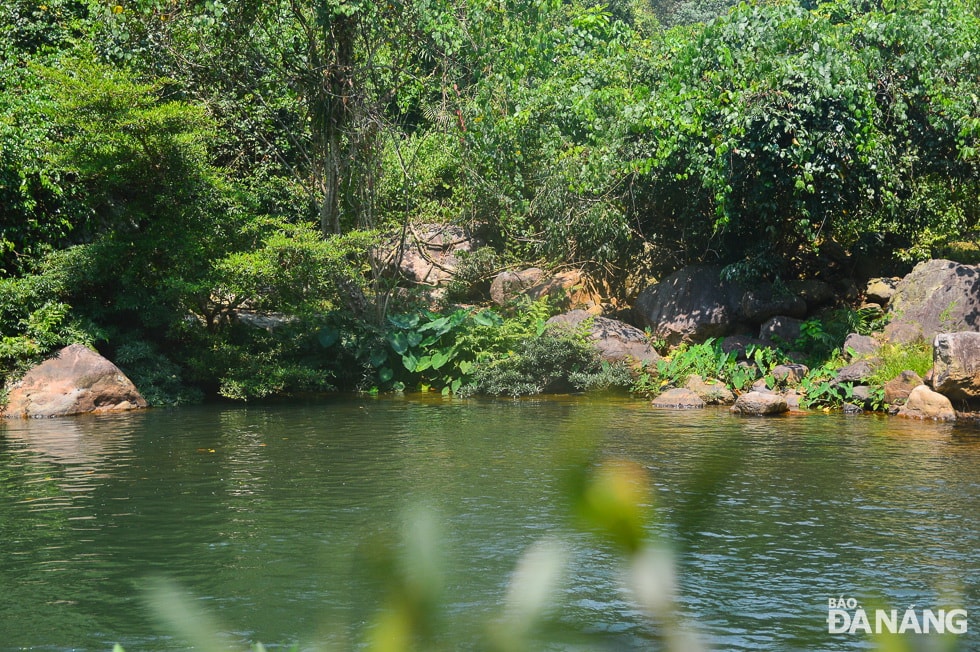 tùy vào thời gian trải nghiệm của du khách, anh Vũ sẽ thiết kế tour sao cho phù hợp. “Với mỗi du khách, tôi đều có những danh sách vật dùng cần thiết phải mang theo như: thuốc chống con trùng, mũ, găng tay (với những khách đi tour vào rừng, phòng khi gặp những cây có gai),…Đặc biệt, khi đi theo tour của tôi, mọi hoạt động của khách đều phải báo tôi hay để đảm bảo sự an toàn”,