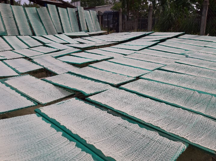 Cassava noodles dried in the sun.