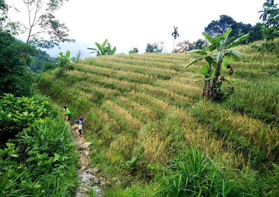 A natural landscape in Nam Tra My.