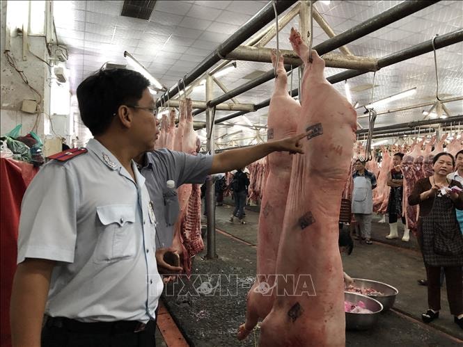 Đoàn kiểm tra liên ngành TP Hồ Chí Minh kiểm tra công tác kiểm dịch tại lò mổ Xuyên Á. Ảnh: Đinh Hằng/TTXVN