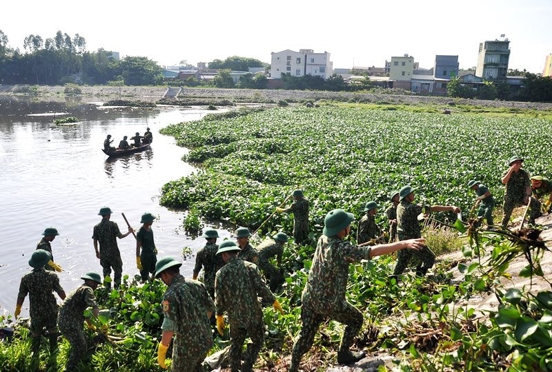 Lực lượng xung kích quyết tâm dọn sạch lớp bèo tây ken kín mặt hồ điều hòa. Ảnh: VINH ANH