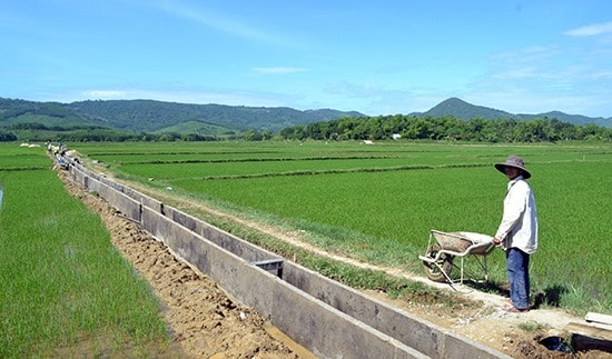 Kênh mương nội đồng giúp tiết kiệm nước tưới phục vụ sản xuất lúa. Ảnh: QUANG VIỆT