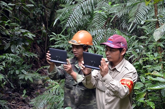 Thông qua dự án Trường Sơn Xanh, cộng đồng dân cư sẽ giám sát rừng trên cao từ sử dụng phần mềm máy tính bảng. Ảnh: T.H