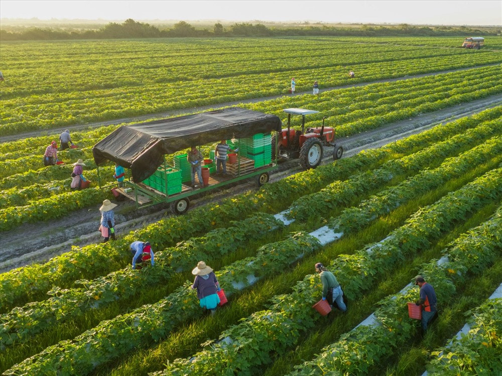 Nông nghiệp hữu cơ đang có xu hướng phát triển. Ảnh: nationalgeographic