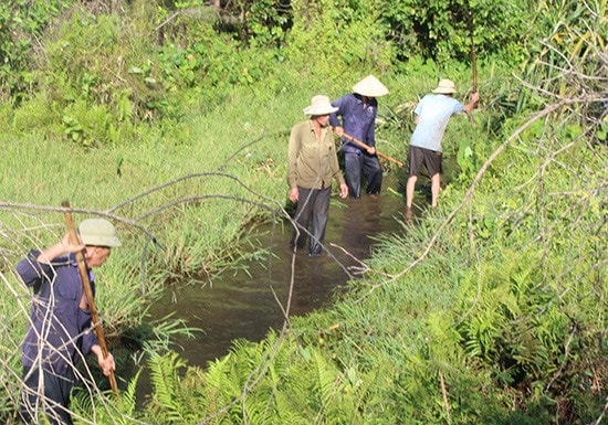 Ra quân phát quang cây cối, nạo vét mương ở Núi Thành. Ảnh: VĂN PHIN