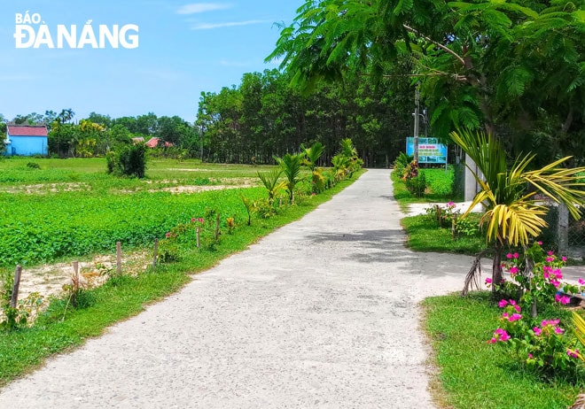 Một tuyến đường kiểu mẫu tại thôn Thái Lai (xã Hòa Nhơn) với những cây hoa giấy, cây cau được trồng hai bên đường, tạo cảnh quan xanh - sạch - đẹp. Ảnh: MAI HIỀN