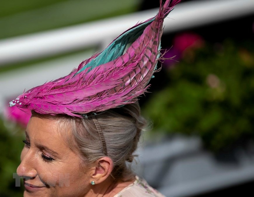 Royal Ascot là lễ hội đua ngựa được Nữ hoàng Anh sáng lập. (Nguồn: THX/TTXVN)
