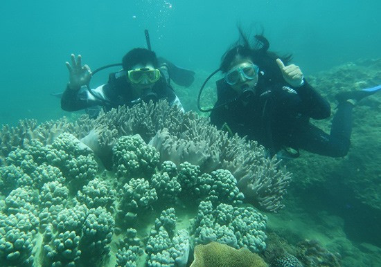 Diving là loại hình du lịch biển thích hợp tại Cù Lao Chàm.