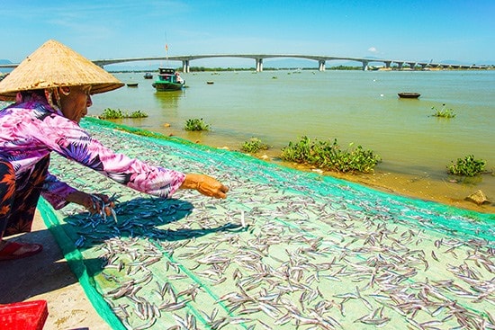 Xã Duy Hải, Duy Nghĩa có truyền thống nghề biển, trong quy hoạch cần chú ý đến gốc tích văn hóa biển. Ảnh: PHƯƠNG THẢO