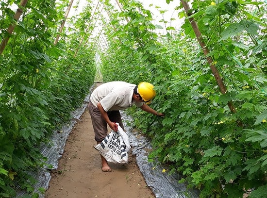 Tên làng Bàu Tròn (Đại An, Đại Lộc) vẫn được người dân lưu nhớ dù tên gọi hành chính đã nhiều lần thay đổi.