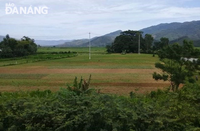Một góc làng Ngọc Kinh Đông, quê hương của chí sĩ Trần Phước. Ảnh: N.H.T
