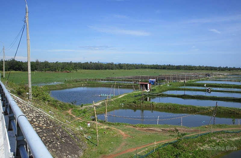 Làng Phú Quý Hạ xưa (ảnh chụp từ chân cầu Tam Thanh). Ảnh: PHÚ BÌNH