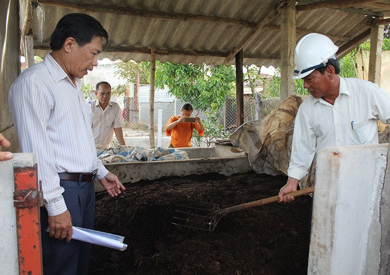 Phân hữu cơ vi sinh đã được ủ hoai mục tại xã Tam Nghĩa, Núi Thành. Ảnh: V.Phin