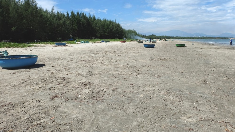 Bãi biển Thuận An trở nên sạch sẽ sau khi được thu dọn rác thải. Ảnh: M.L