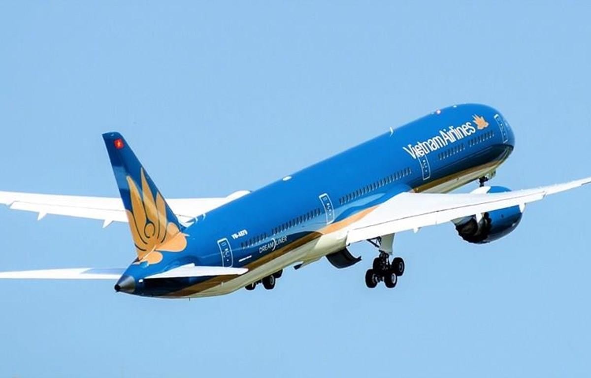 Máy bay Boeing 787-10 được khai thác trên đường bay nội địa giữa Hà Nội-Thành phố Hồ Chí Minh. (Nguồn ảnh: VNA)