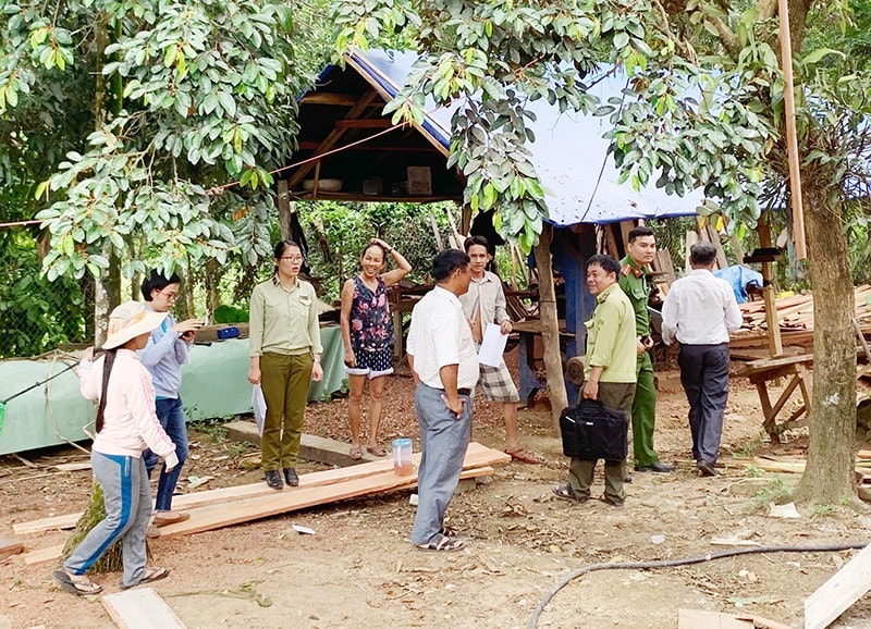 Lực lượng liên ngành huyện Bắc Trà My kiểm tra hiện trường một xưởng cưa xẻ gỗ trên địa bàn xã Trà Kót sáng 23.8.2019. Ảnh: VINH GIANG