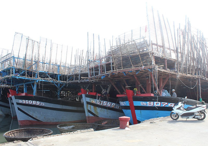 Tàu câu mực khơi neo đậu tại cảng An Hòa. Ảnh: VĂN PHIN