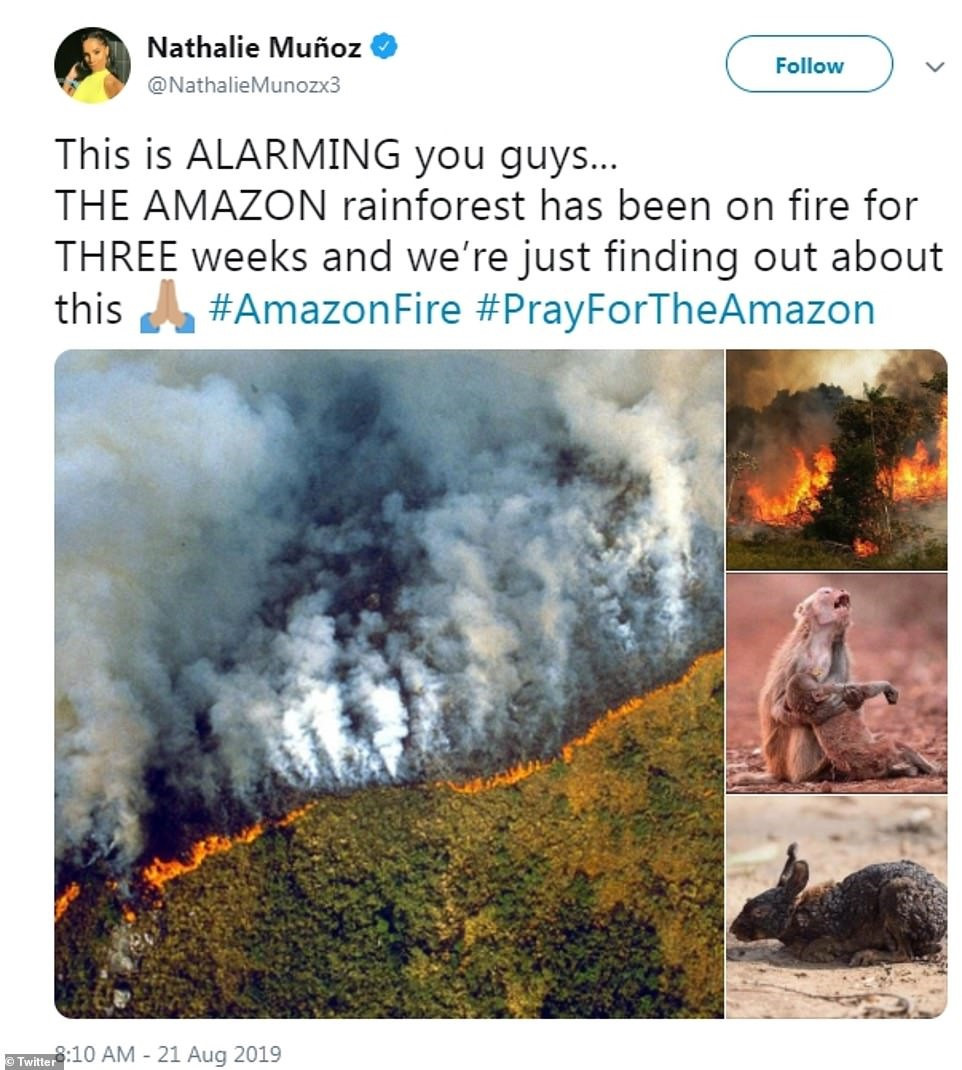 Những hình ảnh được đăng tải trên mạng xã hội kêu gọi cứu lấy rừng Amazon.