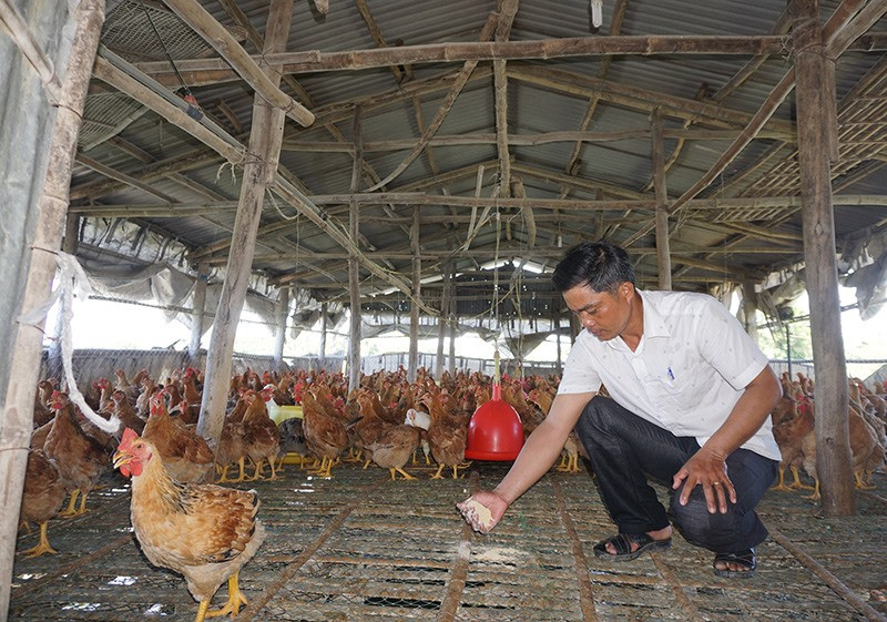 Anh Nguyễn Văn Kiệt thực hiện thành công mô hình trang trại chăn nuôi tổng hợp. Ảnh: N.TRANG