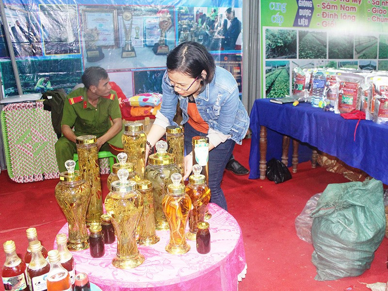 Đa dạng sản phẩm từ sâm Ngọc Linh tại các chợ sâm núi Ngọc Linh, huyện Nam Trà My. Ảnh: H.LIÊN