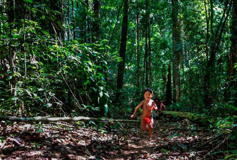 Một cậu bé bộ lạc Waiapi nô đùa dưới tán rừng Amazon khi may mắn ngọn lửa còn chưa lan tới. Ảnh: internet