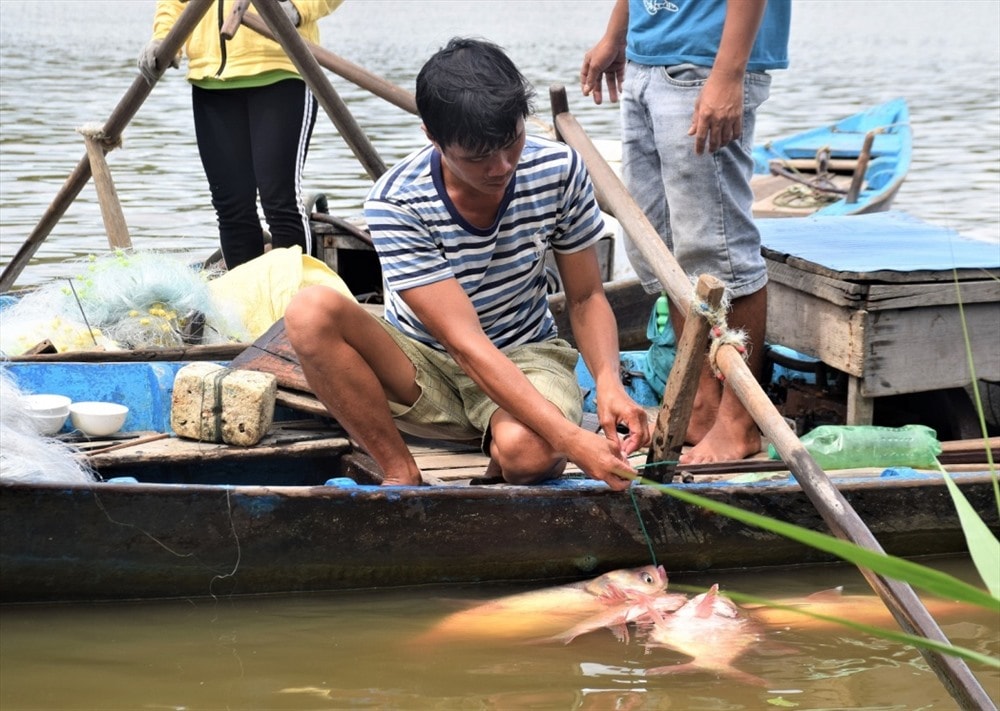 Người dân bắt được nhiều cá mè. Ảnh: THANH THẮNG