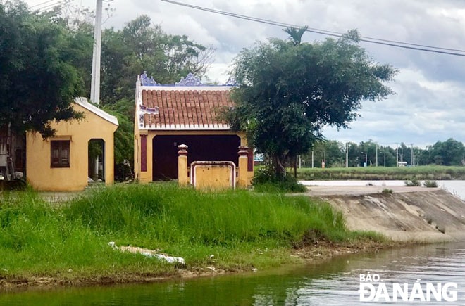 Nơi có ngôi trường của chúng tôi bên dòng sông Thu Bồn giờ còn lại mái đình, trường chỉ còn là ký ức... Ảnh: K.E