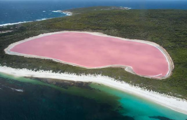 Hồ Hillier màu hồng ở Australia. Dù màu sắc 
